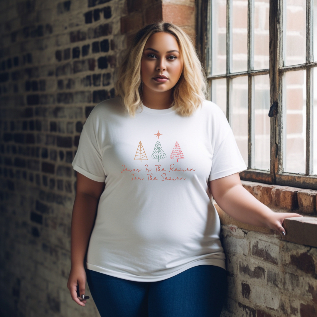 JESUS IS THE REASON FOR THE SEASON - Christian Unisex T-shirt