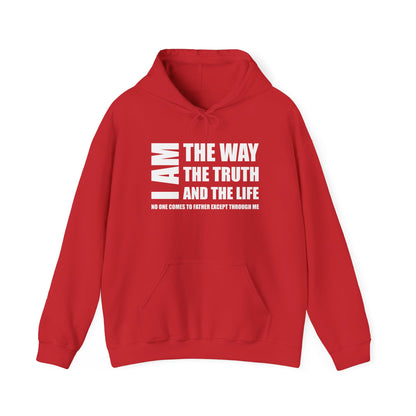 I AM THE WAY THE TRUTH AND THE LIFE NO ONE COMES TO FATHER EXCEPT THROUGH ME  - Faith Cozy Hoodie